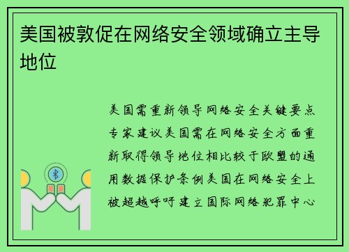 美国被敦促在网络安全领域确立主导地位 