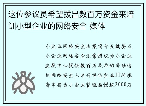 这位参议员希望拨出数百万资金来培训小型企业的网络安全 媒体